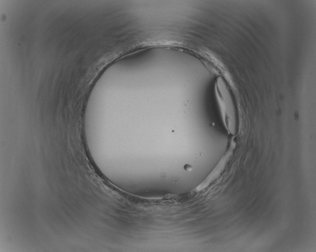 X0000067520385200604281639