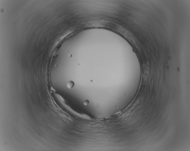 X0000067520386200604281639