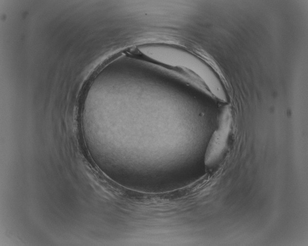 X0000067520387200604281639