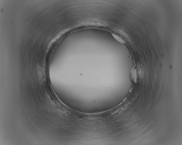 X0000067520388200604281639