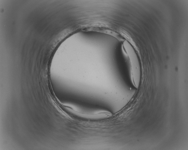 X0000067520389200604281639