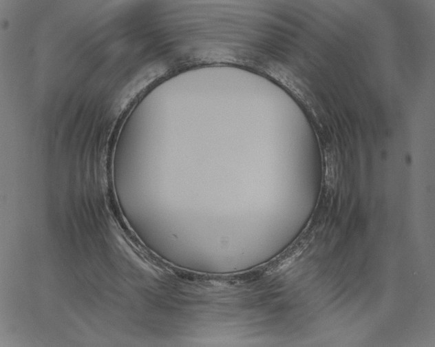 X0000067520390200604281639