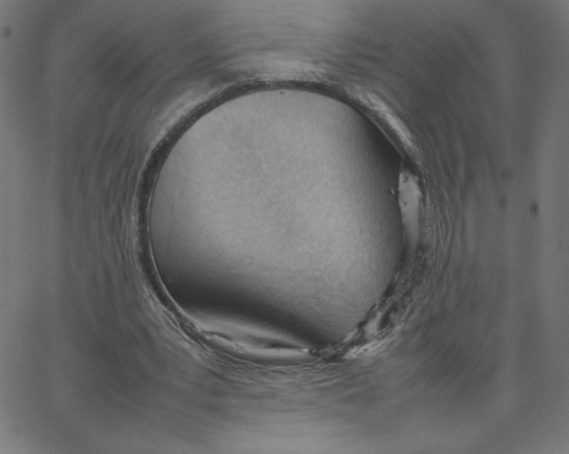 X0000067520391200604281639