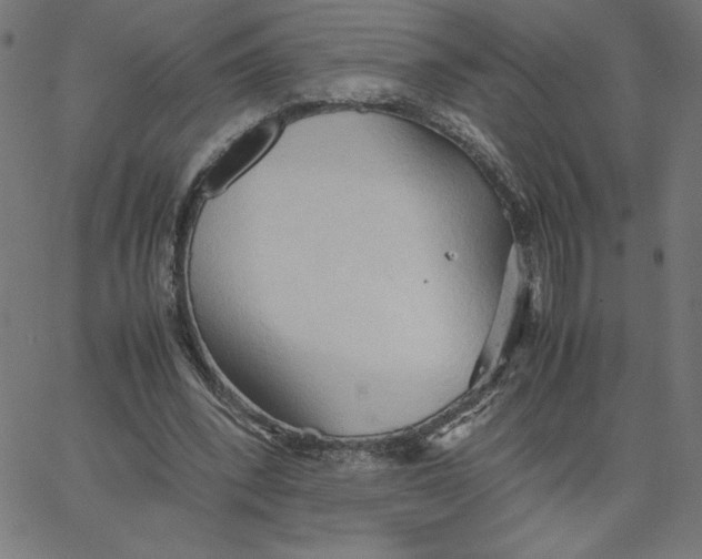 X0000067520392200604281639