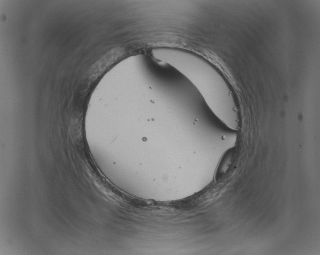 X0000067520393200604281639