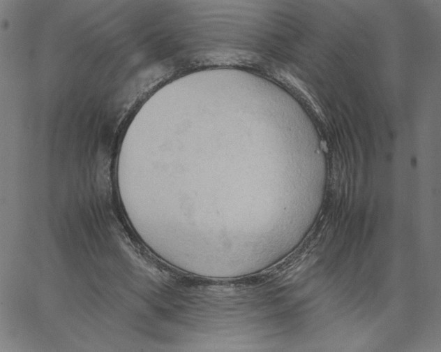 X0000067520394200604281639