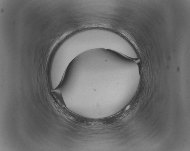 X0000067520395200604281639