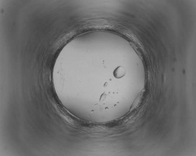 X0000067520397200604281639