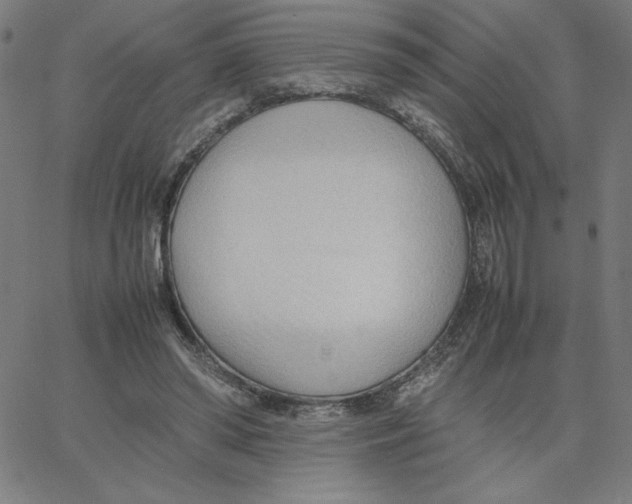 X0000067520398200604281639