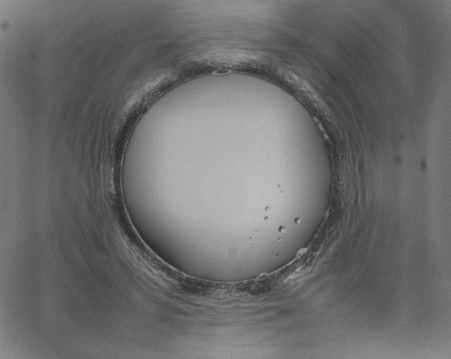 X0000067520399200604281639