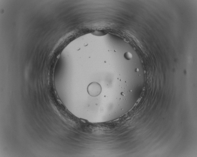 X0000067520400200604281639