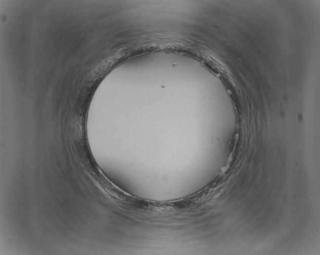 X0000067520401200604281639