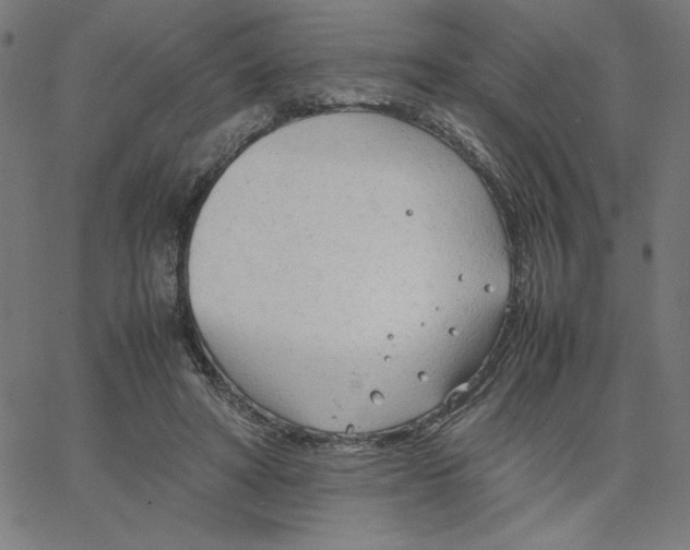 X0000067520402200604281639