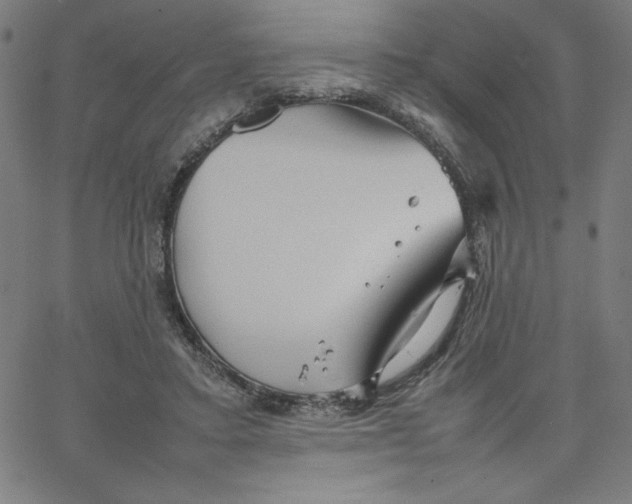 X0000067520403200604281639