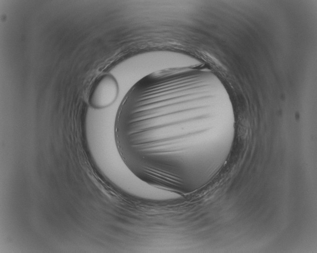 X0000067520405200604281639