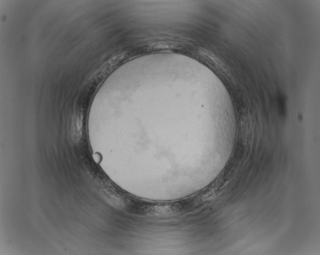 X0000067520406200604281639