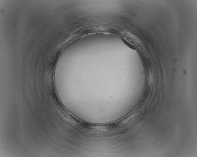 X0000067520409200604281639