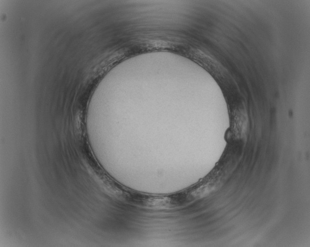 X0000067520410200604281639