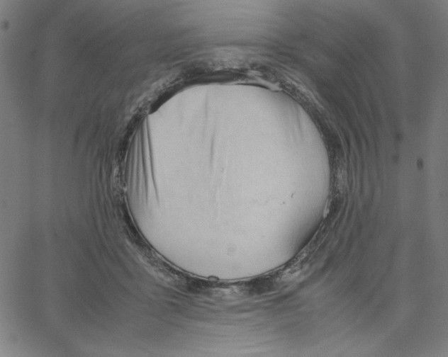 X0000067520411200604281639