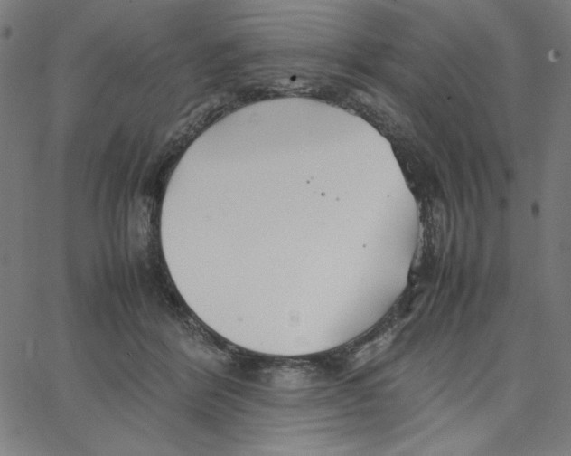 X0000067520412200604281639