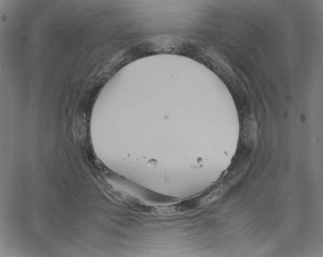 X0000067520413200604281639