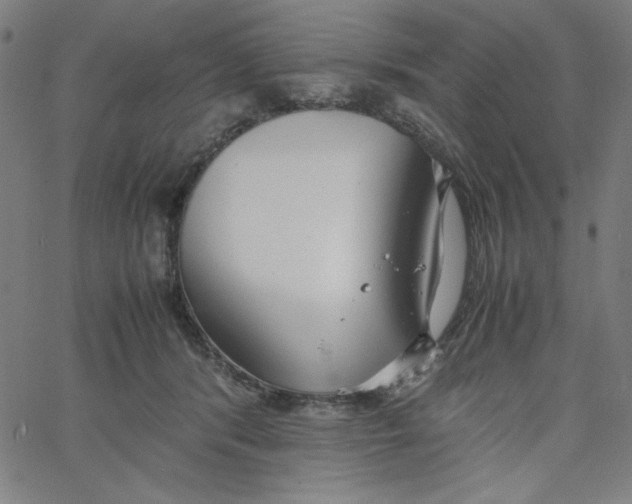 X0000067520416200604281639