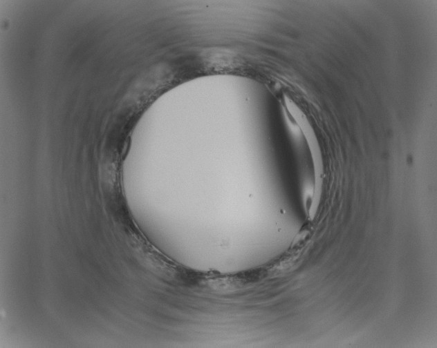 X0000067520417200604281639