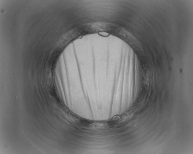 X0000067520418200604281639