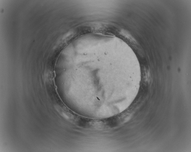 X0000067520419200604281639