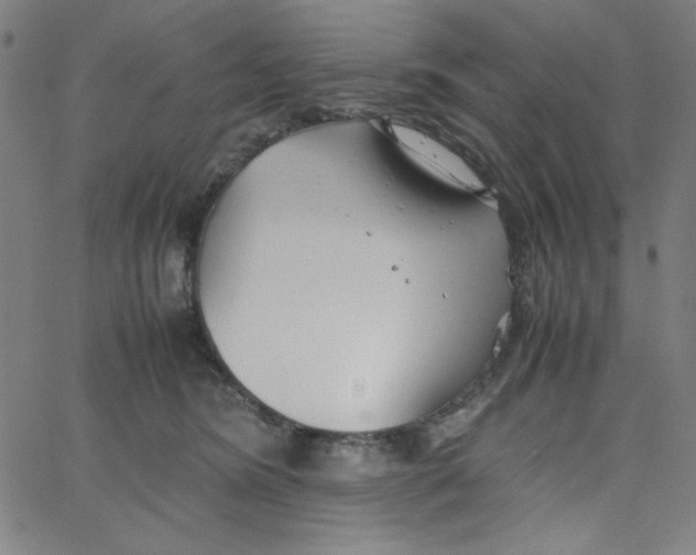 X0000067520420200604281639