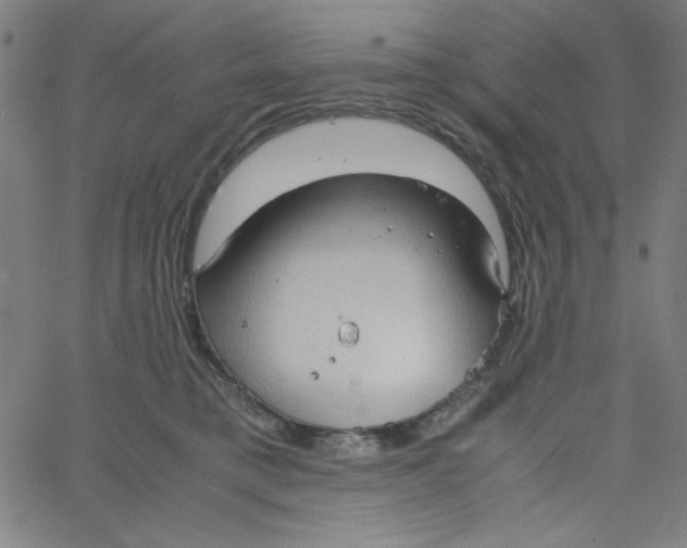 X0000067520421200604281639