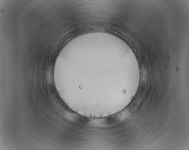 X0000067520422200604281639