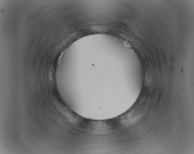 X0000067520424200604281639