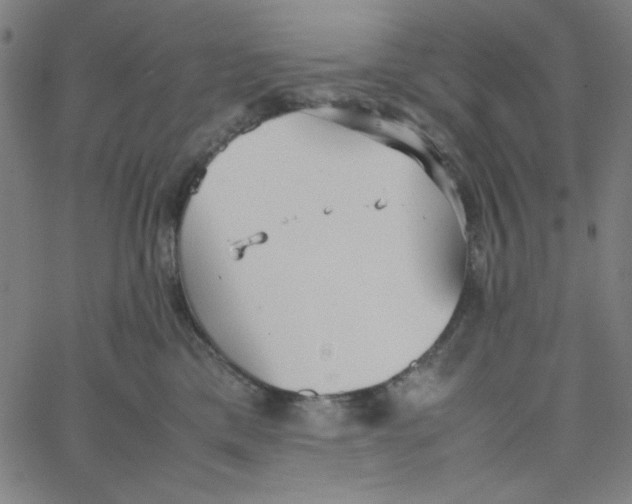 X0000067520425200604281639