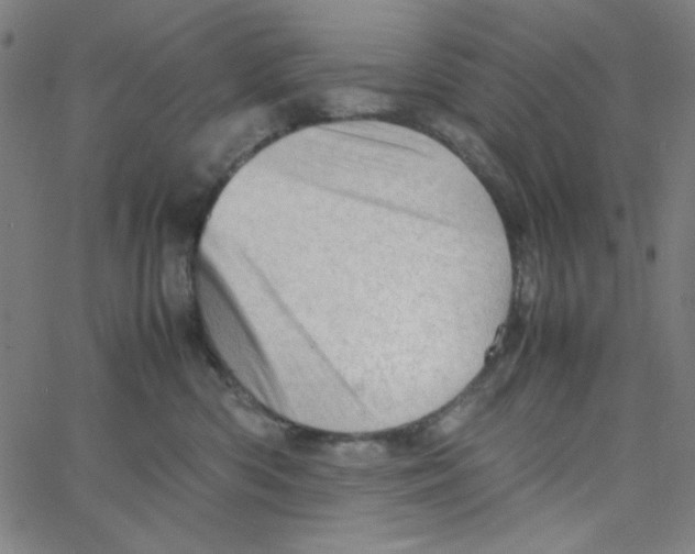 X0000067520426200604281639