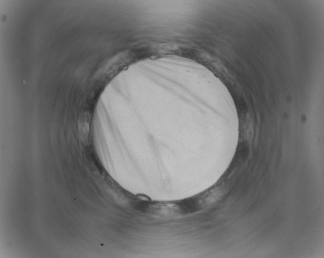 X0000067520427200604281639