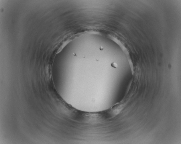 X0000067520428200604281639