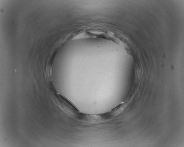 X0000067520429200604281639