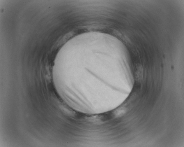 X0000067520430200604281639