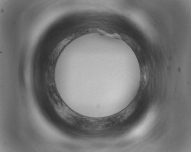 X0000067520431200604281639