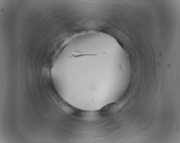 X0000067520432200604281639