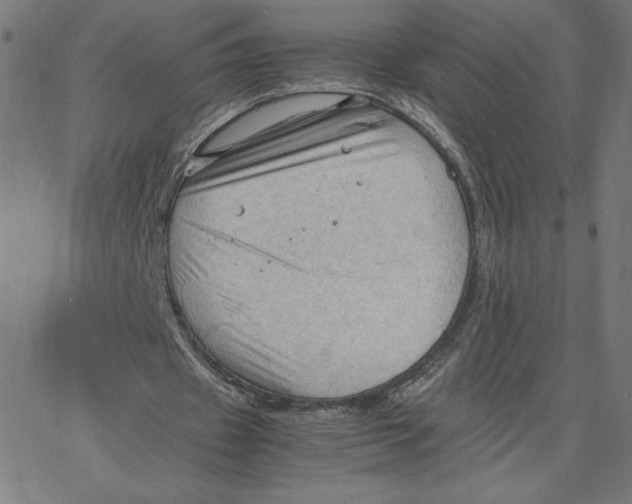 X0000067520433200604281638