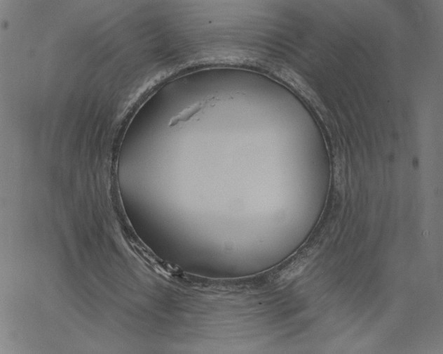 X0000067520434200604281638