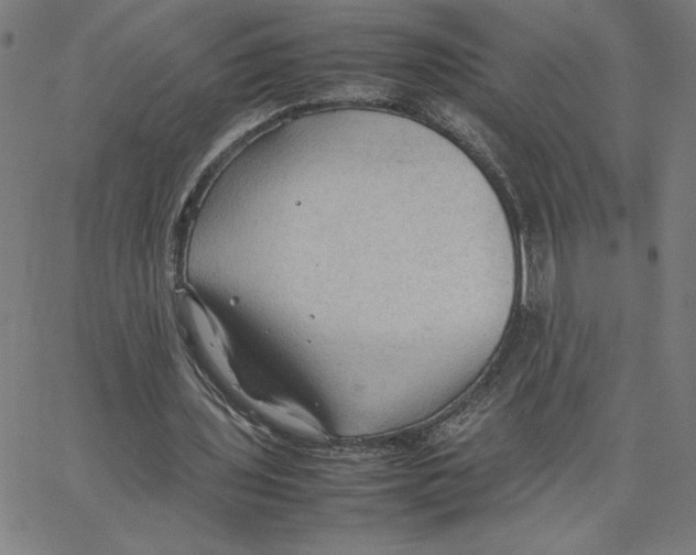 X0000067520435200604281638