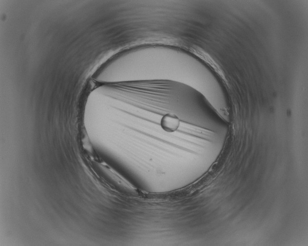 X0000067520436200604281638