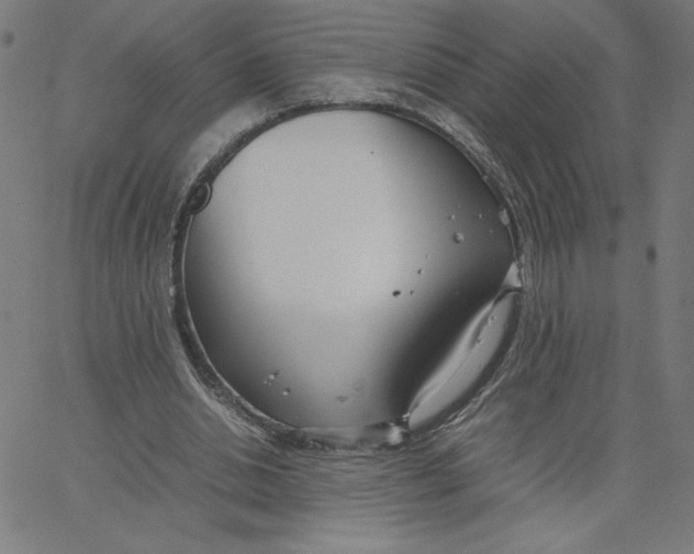 X0000067520438200604281638