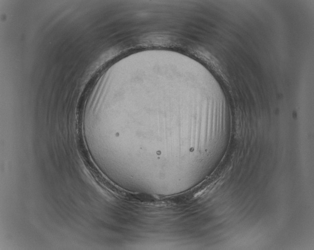 X0000067520439200604281638