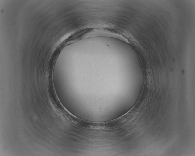 X0000067520440200604281638