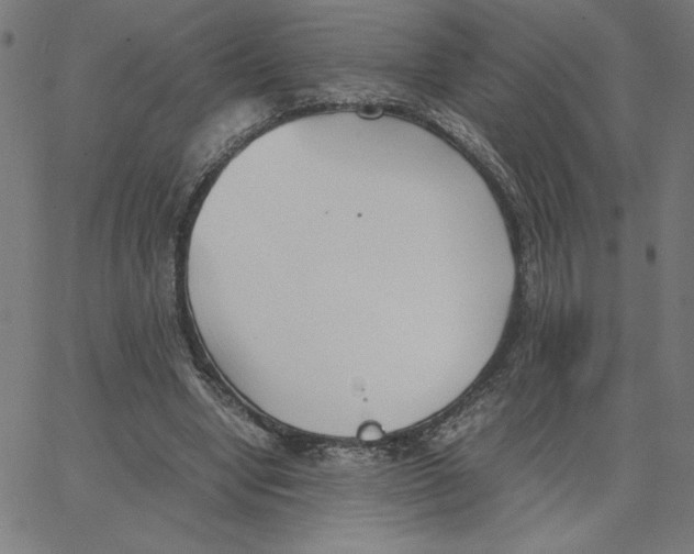 X0000067520442200604281638