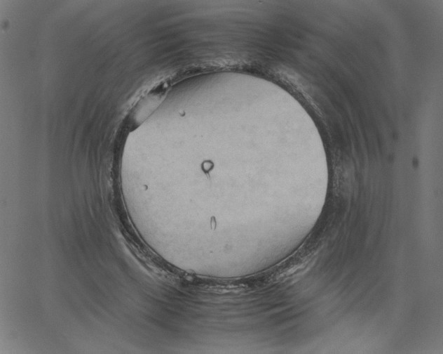 X0000067520443200604281638